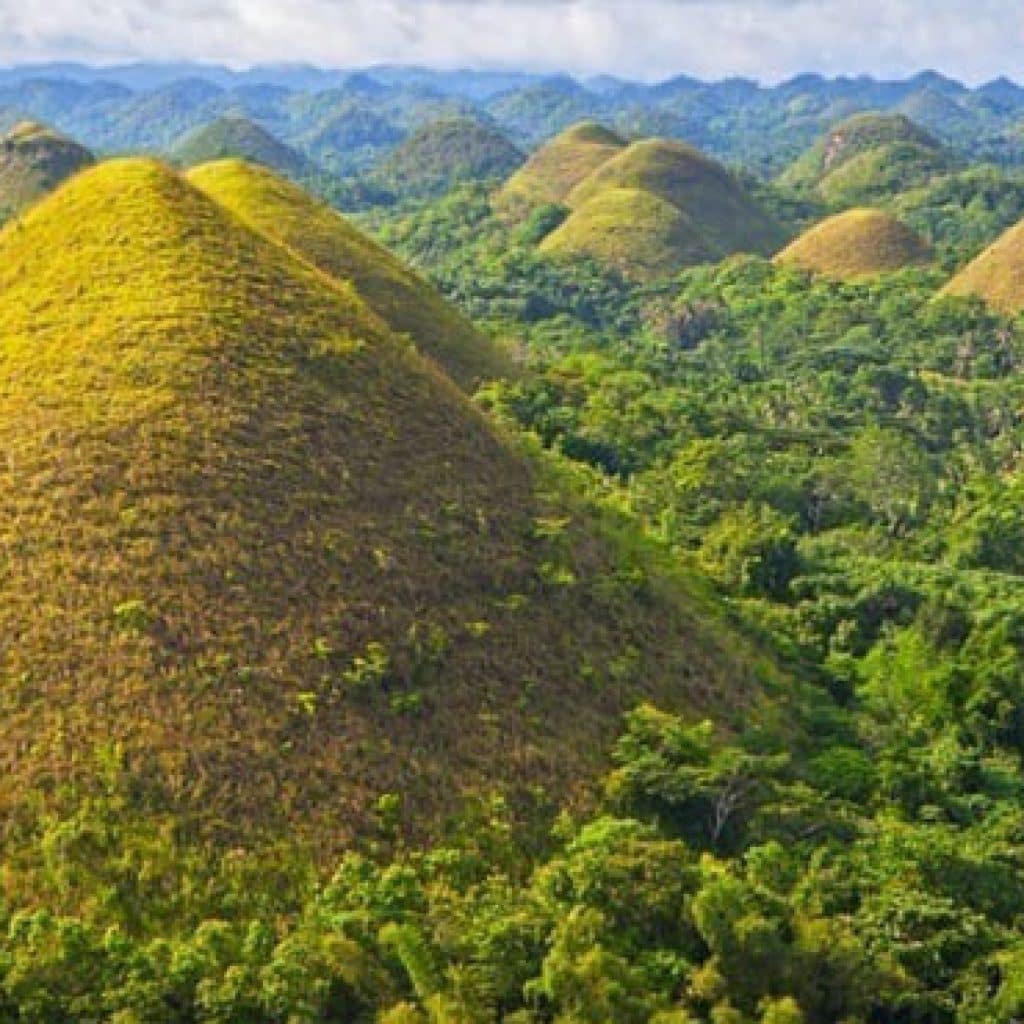 chocolate hills rental car