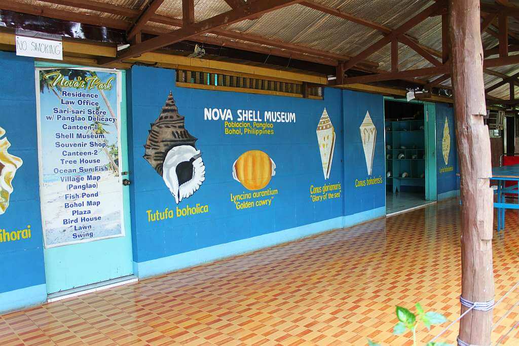 Nova Sea Shell Museum Panglao Island Tour Nova Sea Shell Museum Panglao Island Tour