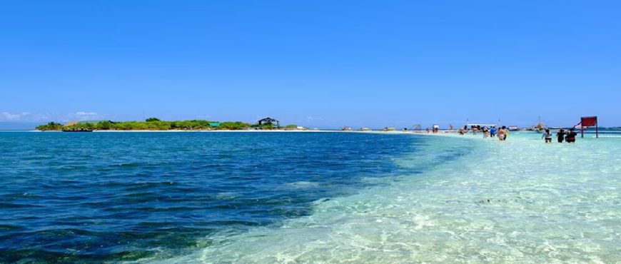 Travelers enjoying Bohol island hopping across tropical islands and coral-rich seas