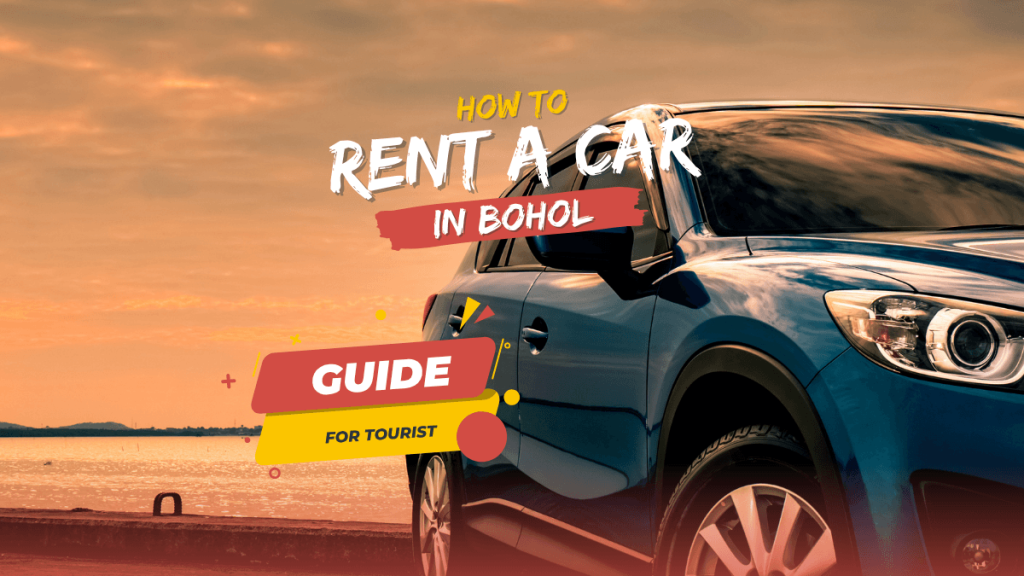 how to rent a car in bohol, guide for tourist