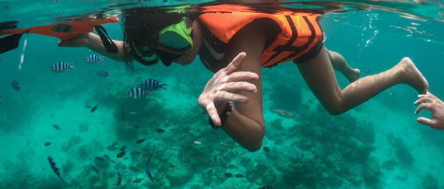 Snorkeling in clear turquoise waters at Anda Beach, Bohol with tropical fish swimming below.